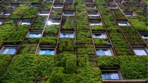 Energy-efficient Tall buildings design strategies: A holistic approach